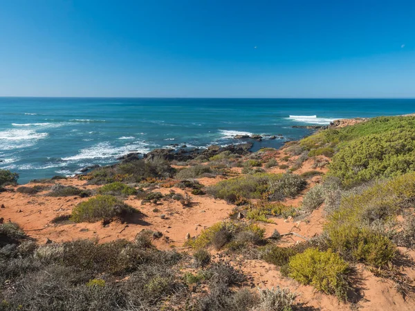 晴れた日に野生のロタ ビセンティーナ海岸 海の波 岩や緑の植生と海の海岸 澄んだ青い空の景色 — ストック写真