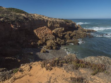 Okyanus dalgaları, keskin kayalar, yeşil ve kırmızı incir yaprakları, Vila Nova de Milfontes, Portekiz yakınlarındaki Carpobrotus edulis ile vahşi Rota Vicentina sahili manzarası. Güneşli gün, mavi gökyüzü