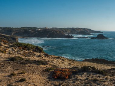 Zambujeira 'nın deniz kıyısında deniz dalgaları, uçurumlar ve kumullarla kaplı yeşil bitki örtüsü incir yaprakları, güneşli bir gün, açık mavi gökyüzü. Rota Vicentina Sahili, Portekiz.