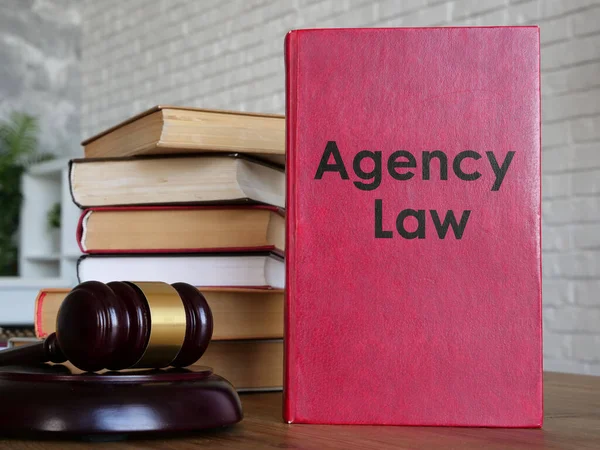 Agency Law Shown Using Text Book — стокове фото