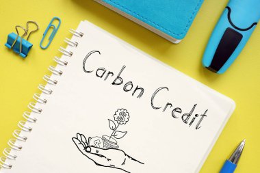 Karbon Kredi bir metin kullanılarak gösterilir
