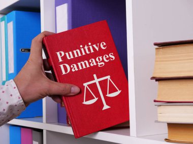 Punitive Damages are shown using a text clipart