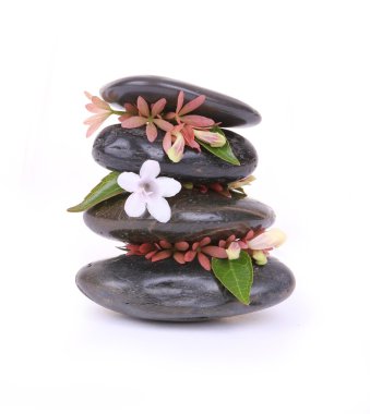 Spa taşlar üzerinde beyaz izole beyaz çiçekli