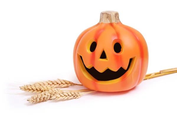 Pumpkin and ears of wheat isolated on white — Stock Photo, Image