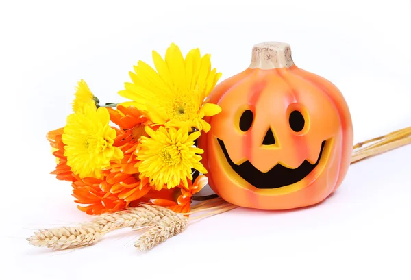 Halloween pumpkin and fall flowers isolated on white — Stock Photo, Image