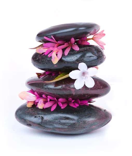 Spa stones with white and hot pink flowers isolated on white — Stock Photo, Image