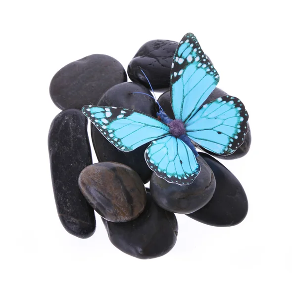 Blue butterfly on the stones isolated on white — Stock Photo, Image