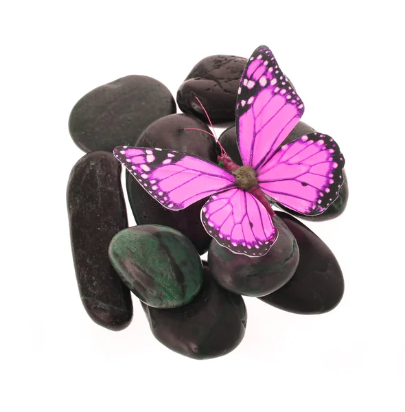 Hot pink butterfly on the stones isolated on white — Stock Photo, Image