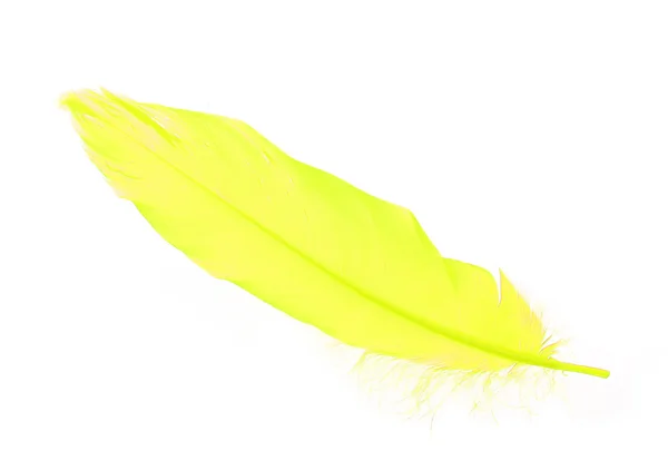 Pluma amarilla aislada en blanco — Foto de Stock