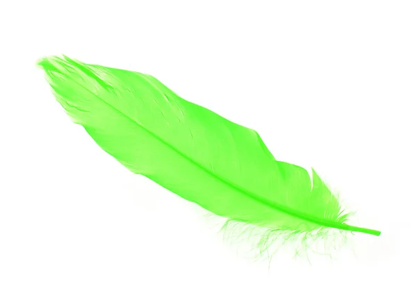 Green feather isolated on white — Stock Photo, Image