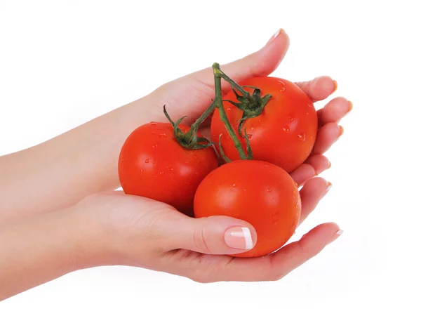 Pomodori maturi in mani femminili isolate su bianco — Foto Stock