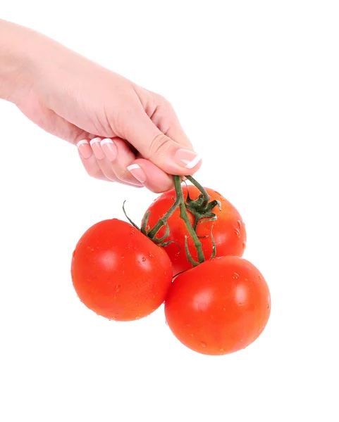 熟的西红柿在女性手上白色隔离 图库照片