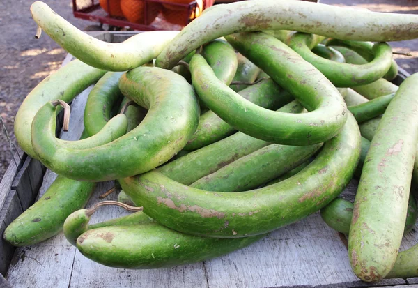 Uzun yeşil kabak yığını — Stok fotoğraf
