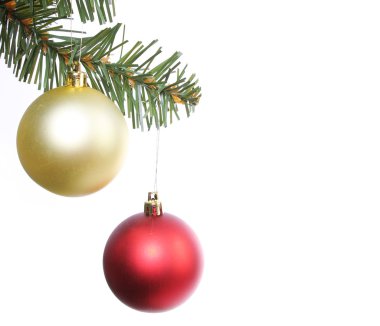 Noel ağacı dalı, üzerinde beyaz izole kırmızı ve altın Noel topları