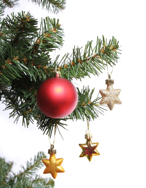 Bola vermelha e estrelas de ouro no ramo da árvore de Natal, isolado no fundo branco, decoração de Natal — Fotografia de Stock