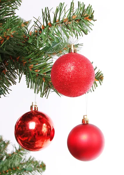 Red Christmas balls on Christmas tree branch, isolated on white Royalty Free Stock Images