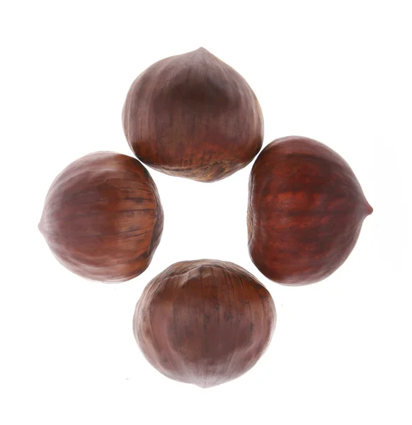 Four chestnuts nuts isolated on white — Stock Photo, Image