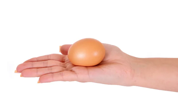 Egg in woman hand isolated on white background — Stock Photo, Image