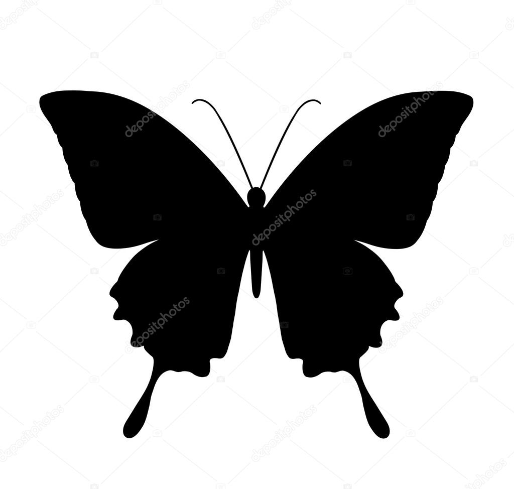 Butterfly, black silhouettes on white background