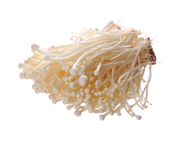 Cogumelos Enoki isolados em branco — Fotografia de Stock