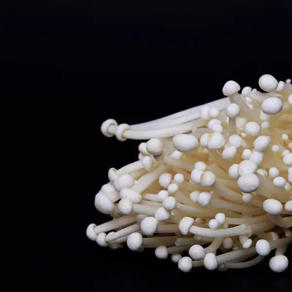 Funghi Enoki su sfondo nero — Foto Stock