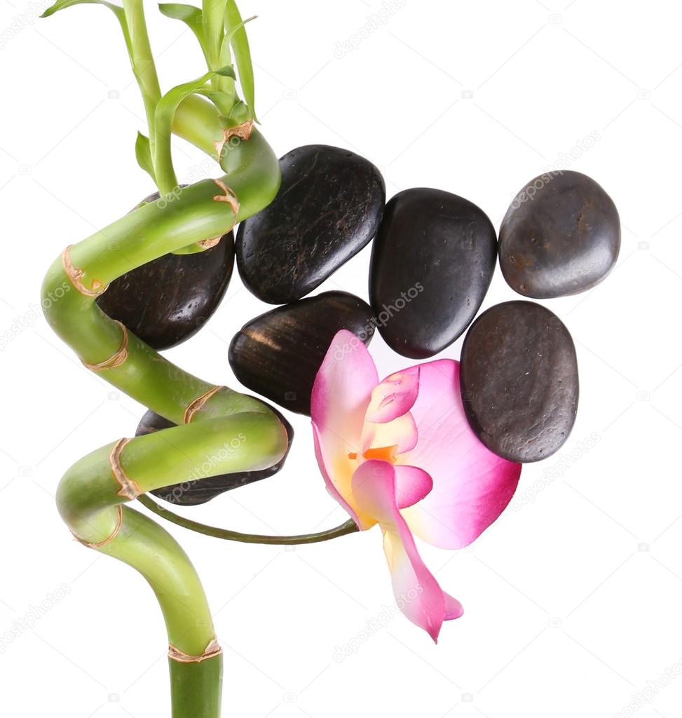 spa stones with orchid flower and beautiful green bamboo isolated on white
