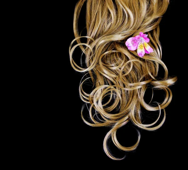 Cabelo castanho encaracolado sobre fundo preto com flor de íris rosa — Fotografia de Stock