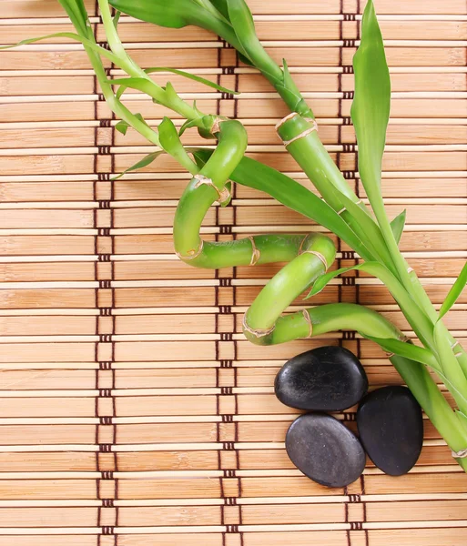 Beautiful green bamboo and spa stones on bamboo mat — Stock Photo, Image