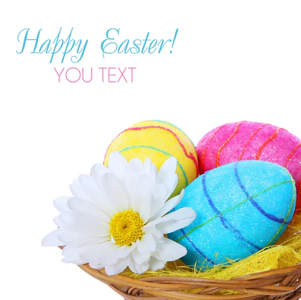 Easter eggs in basket with chamomile flower isolated on white background — Stock Photo, Image