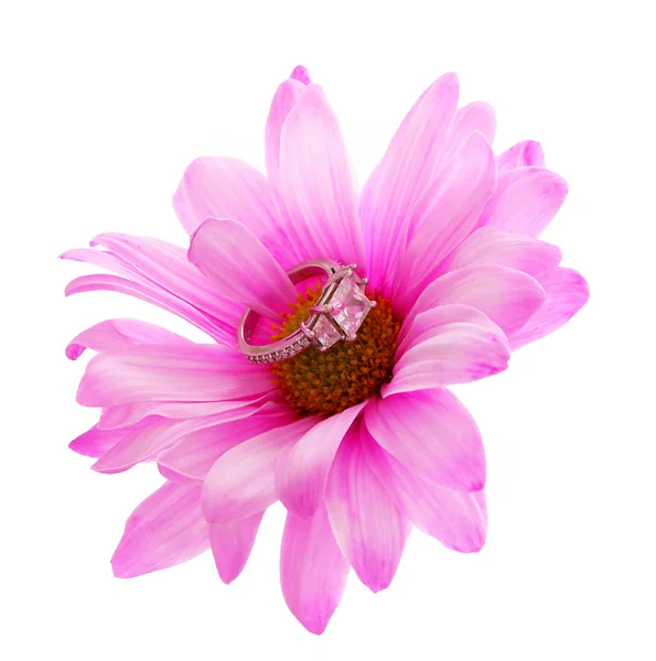 Διαμαντένιο δαχτυλίδι αρραβώνων σε ζεστό ροζ χαμομήλι λουλούδι απομονωθεί — Φωτογραφία Αρχείου