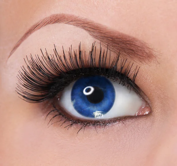Mata dengan bulu mata yang panjang. wanita cantik mata biru — Stok Foto