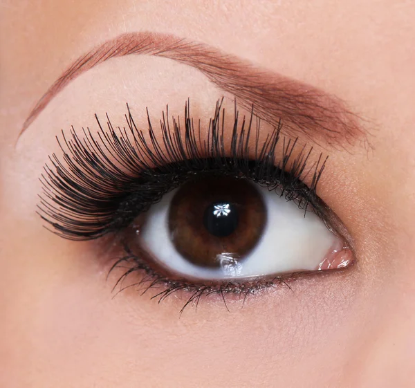 Eye with long eyelashes. beautiful woman brown eye — Stock Photo, Image