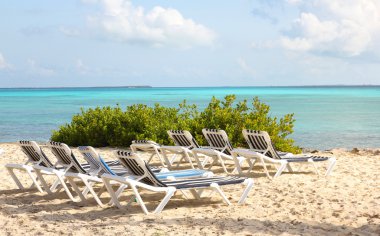 tropikal plaj şezlong ve turkuaz okyanus. Bahamalar üzerinde tesisi