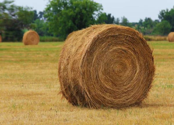 Haystack on the field. USA — Stock Photo, Image