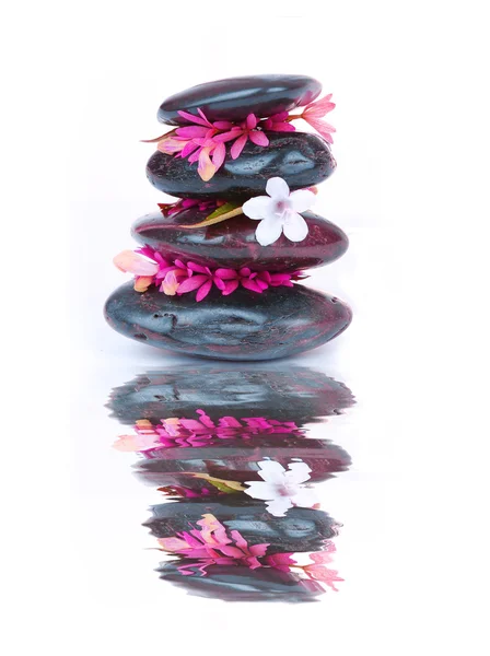 Piedras Zen y flores con reflejo sobre fondo blanco. Feng-Shui. Spa —  Fotos de Stock