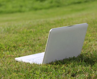 Yeşil çimenlerin üstünde laptop