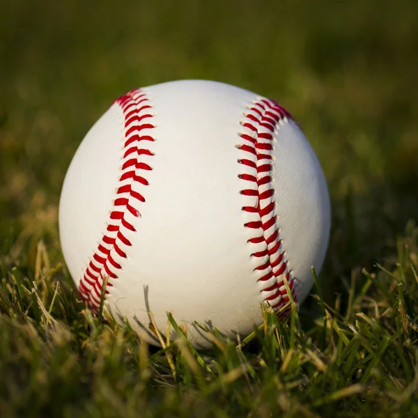 Béisbol en el campo. Nueva bola blanca sobre hierba verde fresca —  Fotos de Stock
