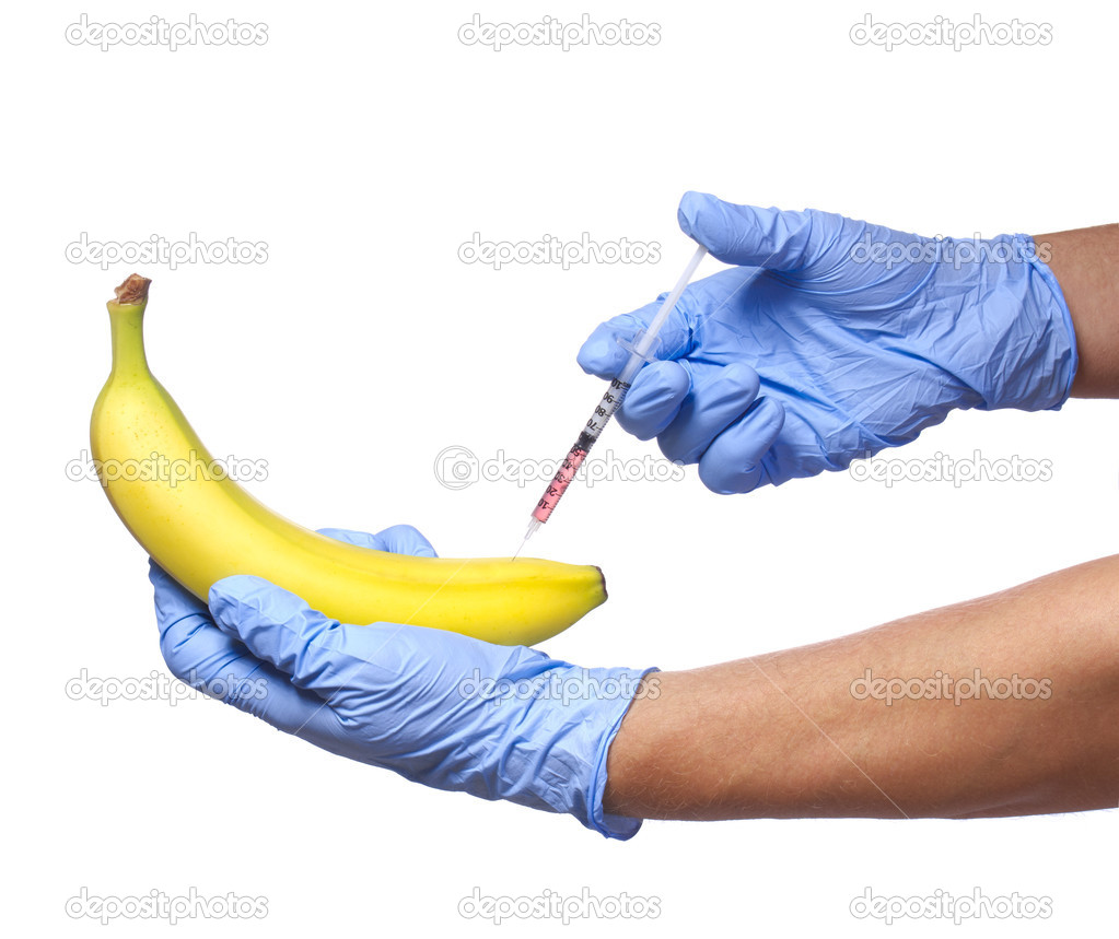 GMO food. Injection into banana isolated on white background. Genetically modified fruit and syringe in his hands with blue gloves