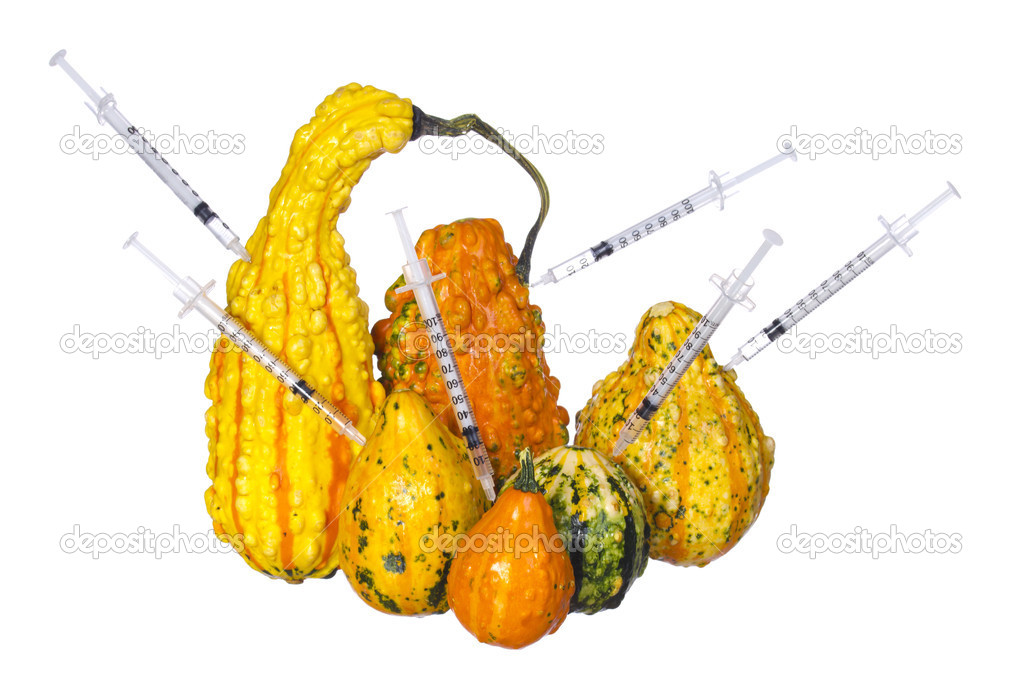 Genetic injections into pumpkins isolated on white background. Genetically modified or unusually shaped squashes with syringes.