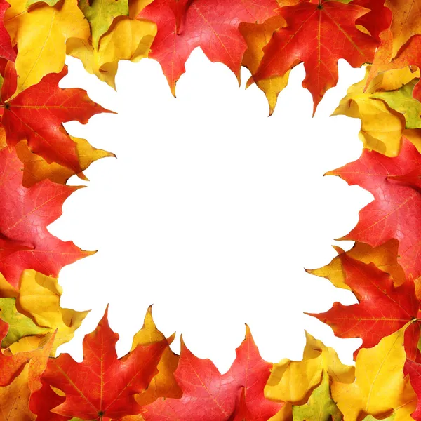 Maple leaves border with space for text. Colored autumn leafs isolated. Fall — Stock Photo, Image