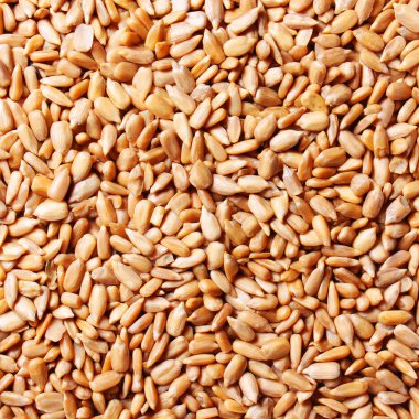 soyulmuş Ayçiçek tohumu arka plan.