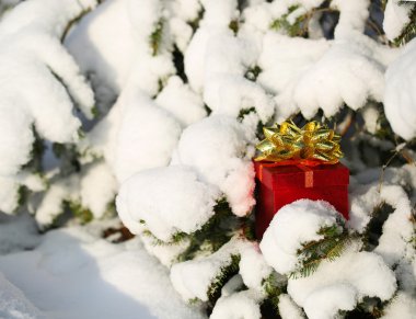 hediye kutusu Noel ağacının altında karla kaplı. açık. Kış