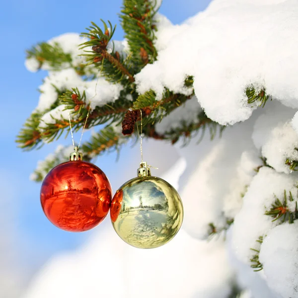 Red and Gold Christmas Balls on Christmas tree branch covered wi — Stock Photo, Image