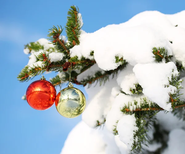 Piros és arany karácsonyi labdák karácsonyfa ága fedett wi — Stock Fotó