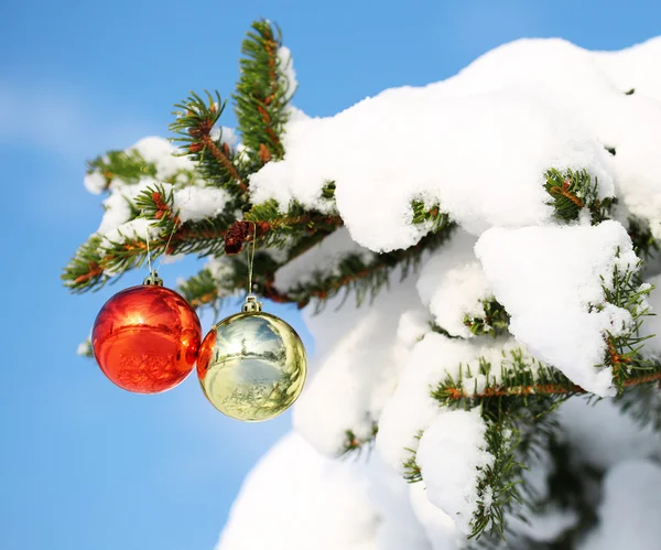 Red and Gold Christmas Balls on Christmas tree branch covered wi