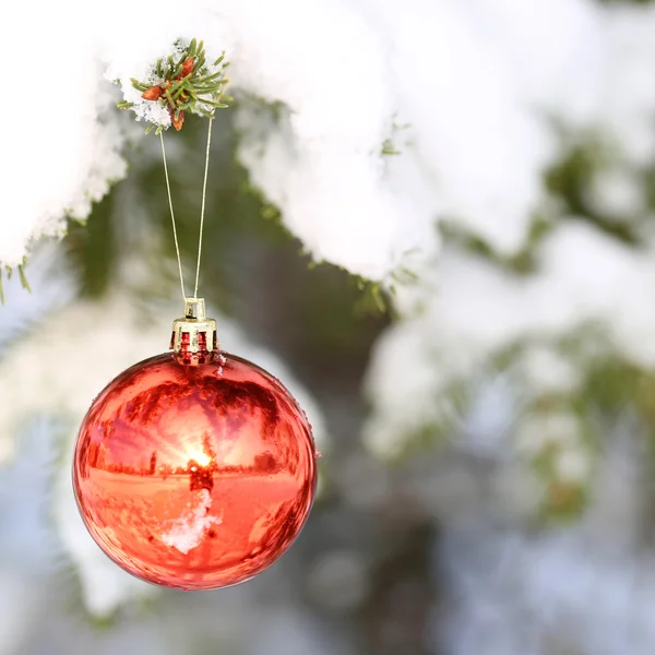 クリスマスの木の枝に赤いクリスマス ボールは雪で覆われて。o — ストック写真