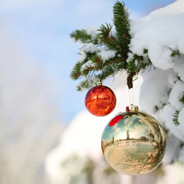 Red and Gold Christmas Balls on Christmas tree branch covered wi — Stock Photo, Image