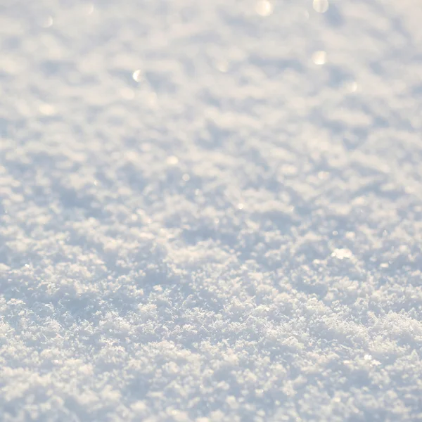 Snow background. Texture — Stock Photo, Image