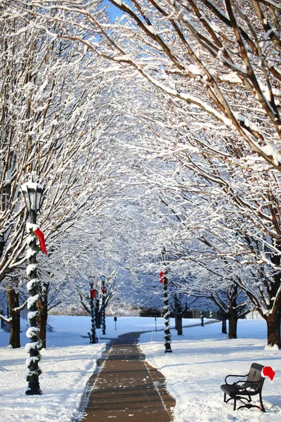 Wintergasse mit schneebedeckten Bäumen und Weihnachtsmütze auf der Bank. — Stockfoto