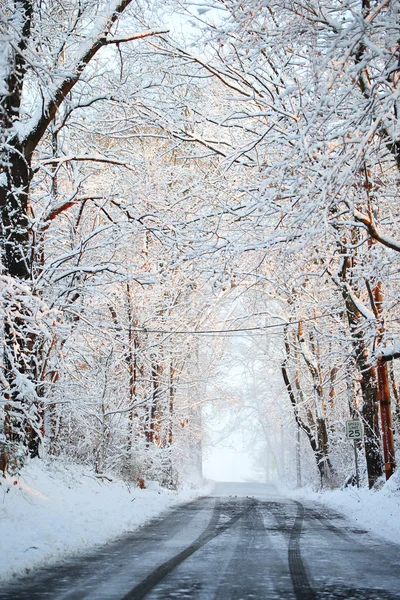 Ruelle d'hiver avec arbres enneigés. Rayons de soleil tombent sur fr — Photo